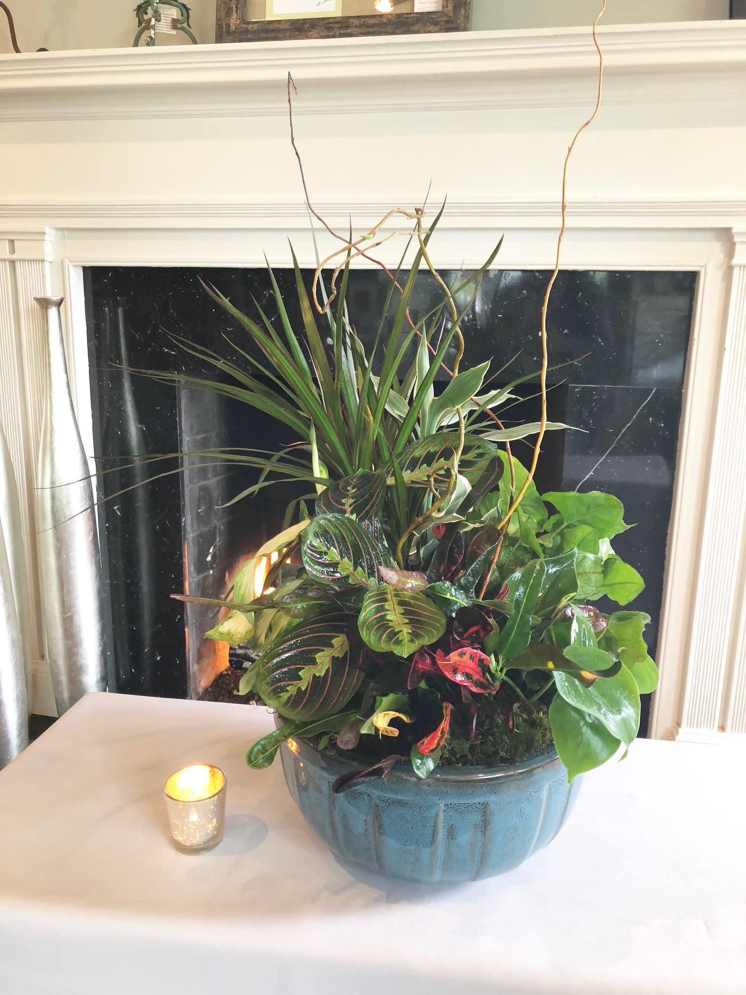 Ceramic Dish Garden Ceramic Dish Garden - Mix of green plants in a classic ceramic container finished with willow and moss accents Premium size pictured
