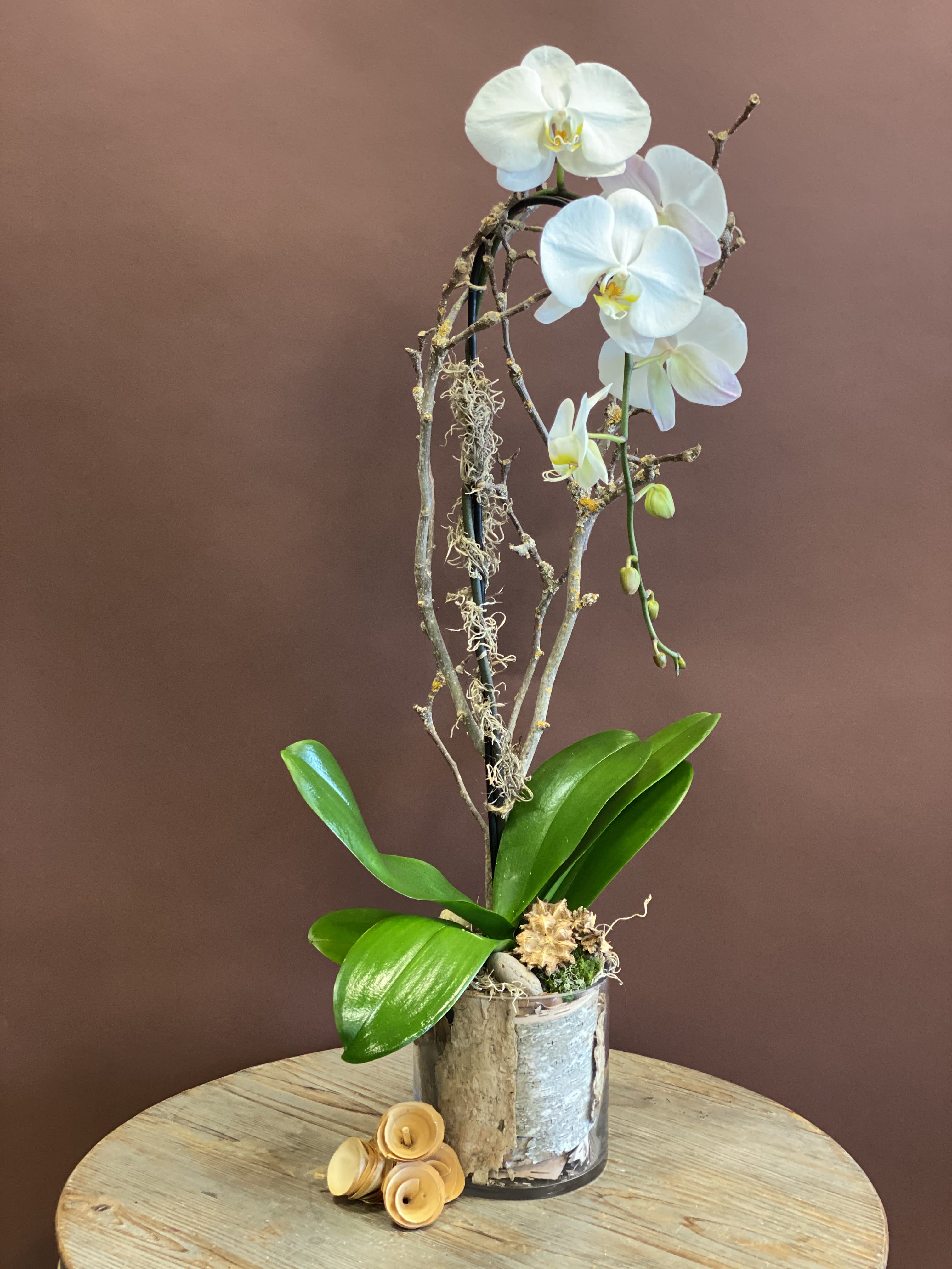 Earthy - Embrace the organic beauty of our Earthy arrangement. With Phalaenopsis Orchids and Architectural Dried Botanicals displayed in a minimalistic birch cylinder, the beauty of this piece speaks for itself.