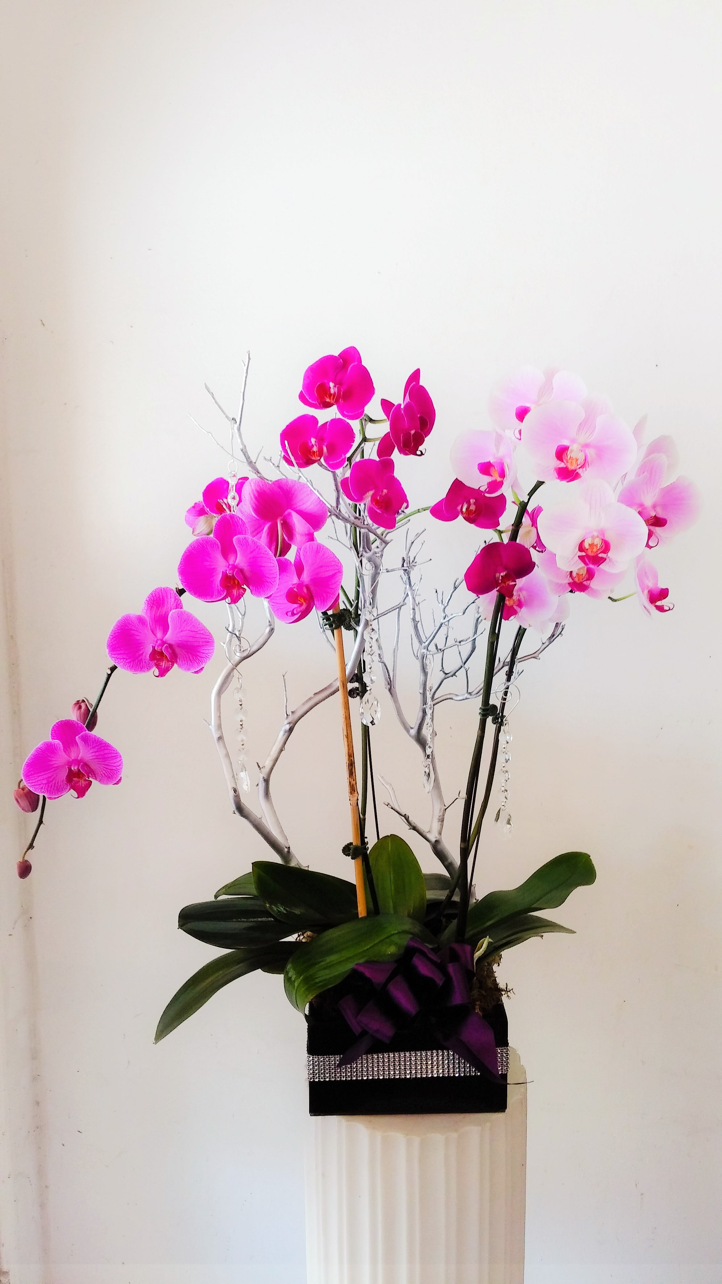 Dazzle Dazzle - 8" x 8" box adorn with jewel accents, filled with phalaenopsis orchid plants, and manzanita branches with crystals.