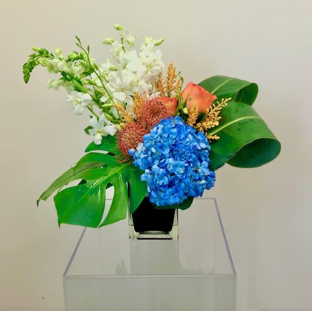 Bahama Breeze - Sensational tropical floral design with an asymmetrical twist.  Flowers consist of hydrangea, orchids, snapdragon, protea, yarrow, and greenery.  Floral arrangement to be placed in a neutral vase.  *Please view policy section regarding substitutions.
