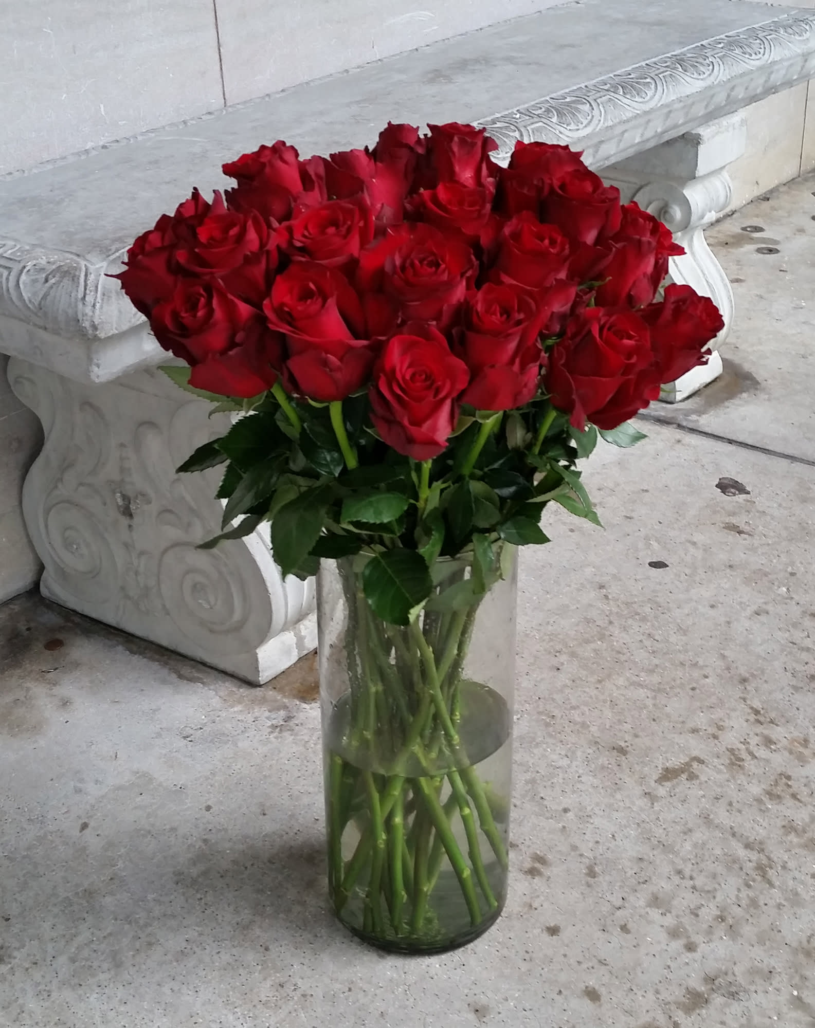 24 roses - long stem roses 