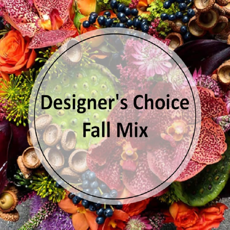 Designer's Choice - Fall Mix Designer's Choice - Fall Mix - Celebrating the Autumn season with bold Fall toned hue leaves and flowers. The types of premium flowers used will vary based on the time of season and availability of specific flowers and greens. Let our unique designs make the day special for you. Approximate Dimensions Standard: 8"H x 8"W Deluxe: 10"H x 10"W Premium: 12"H x 12"W