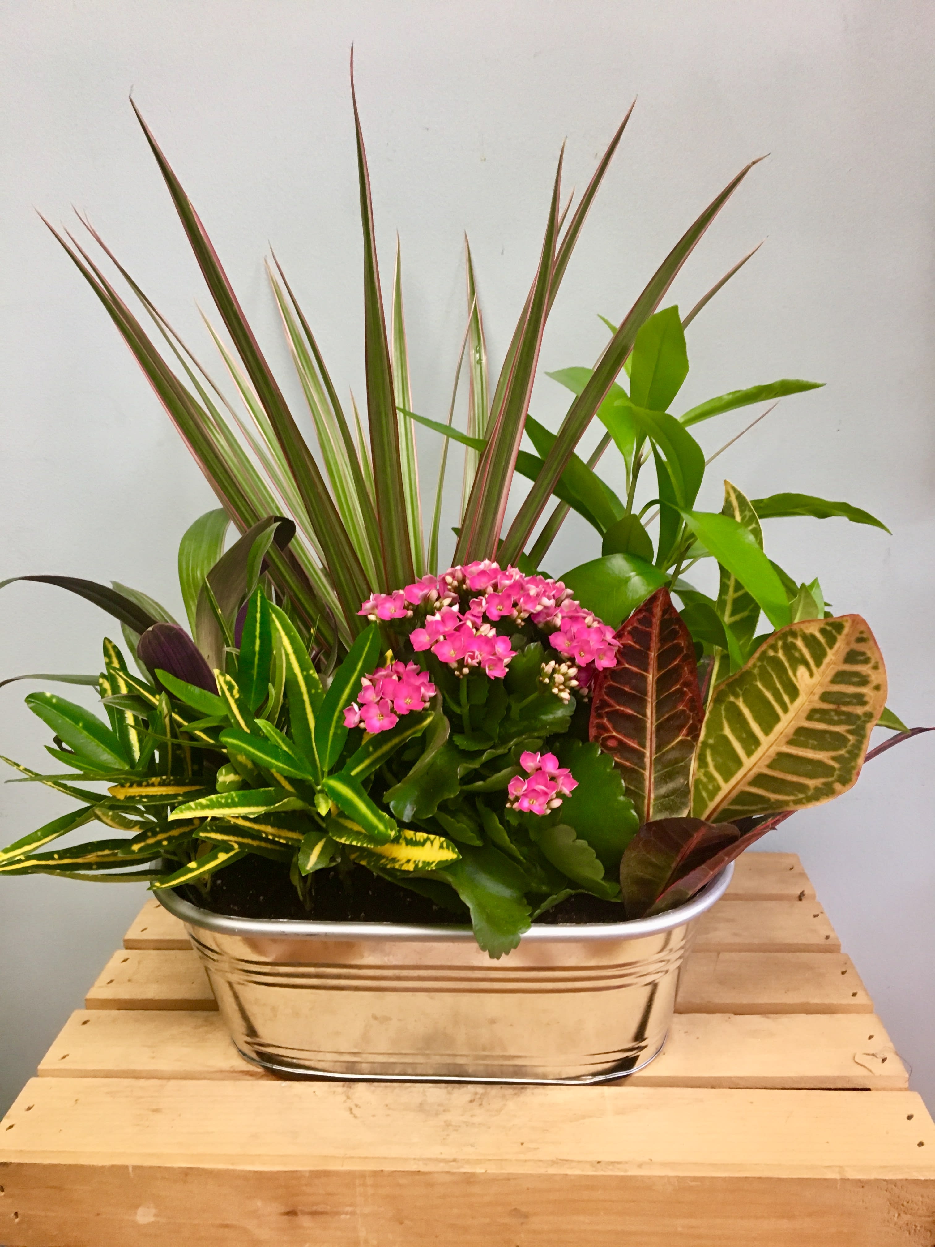Dish garden on sale