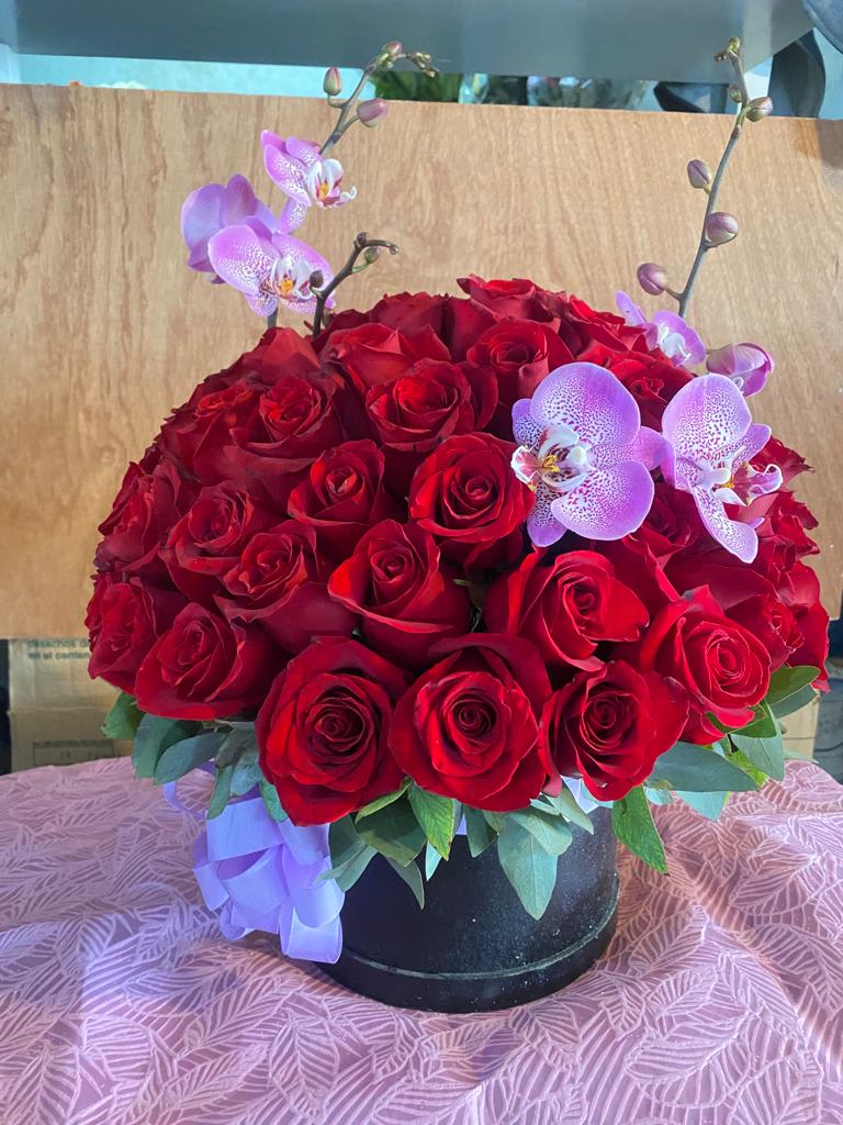 Red Romance  - red roses 
