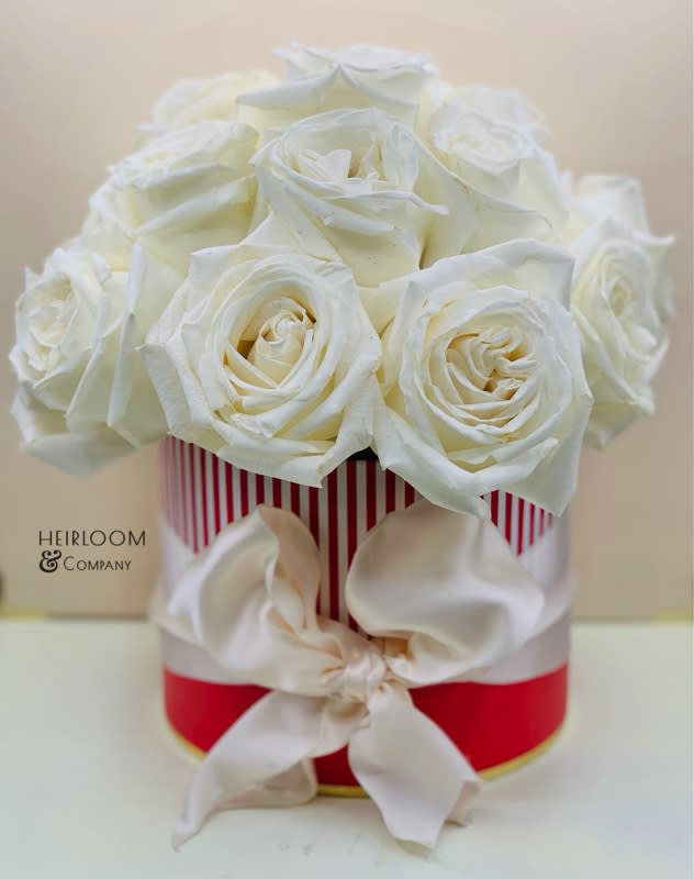 snow white - Ingredients: Premium white roses Red &amp; white striped hatbox Tied in an ivory satin ribbon