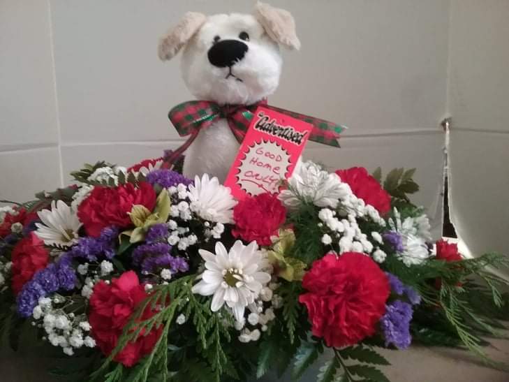 How much is that doggie in the window in Fulton NY Claudette s
