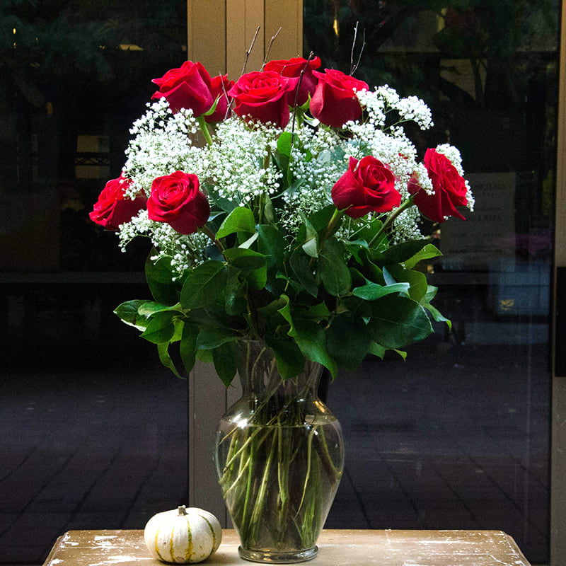 red roses red roses - 12 red roses