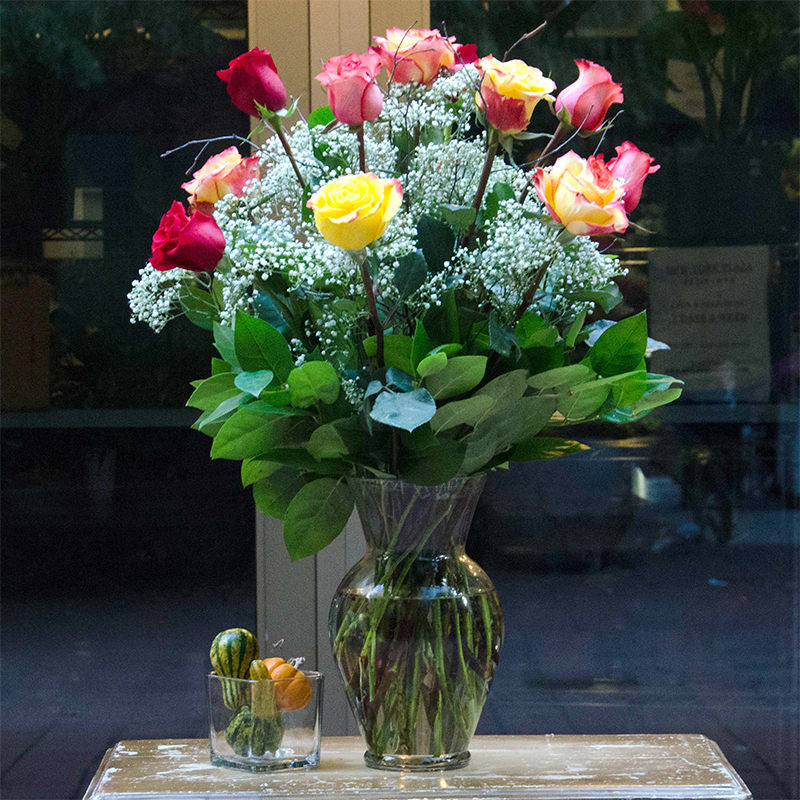 mix roses mix roses - mix colors