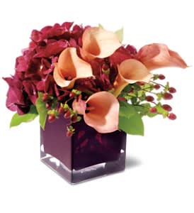 Calla Classique - Callas in bronze are elegance personified, making this unique floral arrangement the perfect gift for someone with sophisticated taste.     A plum-colored glass cube vase, filled with burgundy hydrangea, bronze mini callas and hypericum, accented with salal. Approximately 11&quot; (W) x 11&quot; (H) 