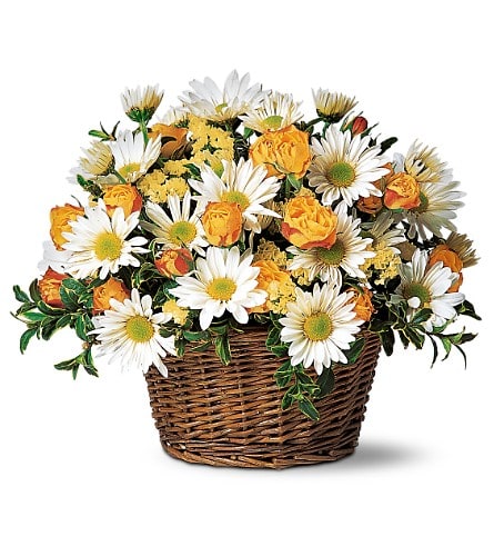 Joyful Roses and Daisies - Roses, daisies and statice arrive inside of a quaint wicker basket