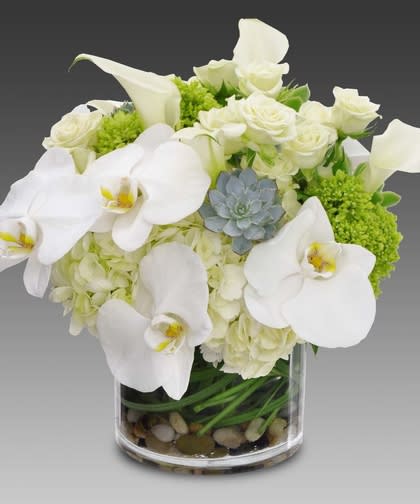 Extravagant Bliss - Designed by the artisans at Mission Viejo Florist, this arrangement includes hydrangeas, succulents, roses, and calla lilies. Accented with lily grass and stones in a clear round glass vase, this creation exudes elegance with an underlying simplicity. This design is made with premium blooms imported from Holland.