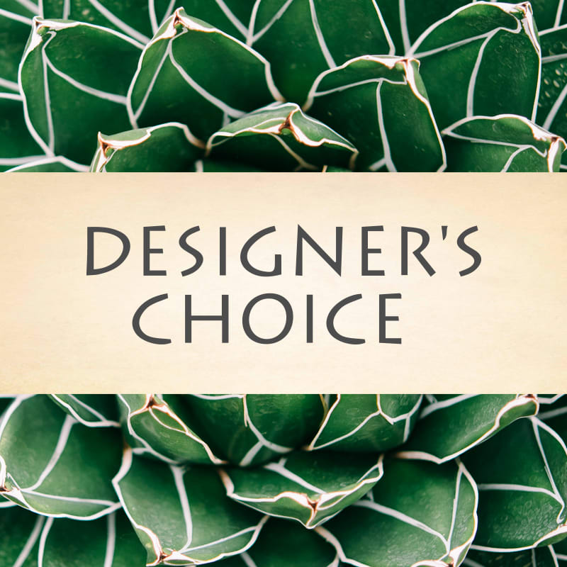 Designer's Choice Succulent - Our amazing design team at The Juicy Leaf will create you a custom piece with succulents that are sure to impress. If you have a preference for sand or rock colors, please note during checkout under special instructions for florist.
