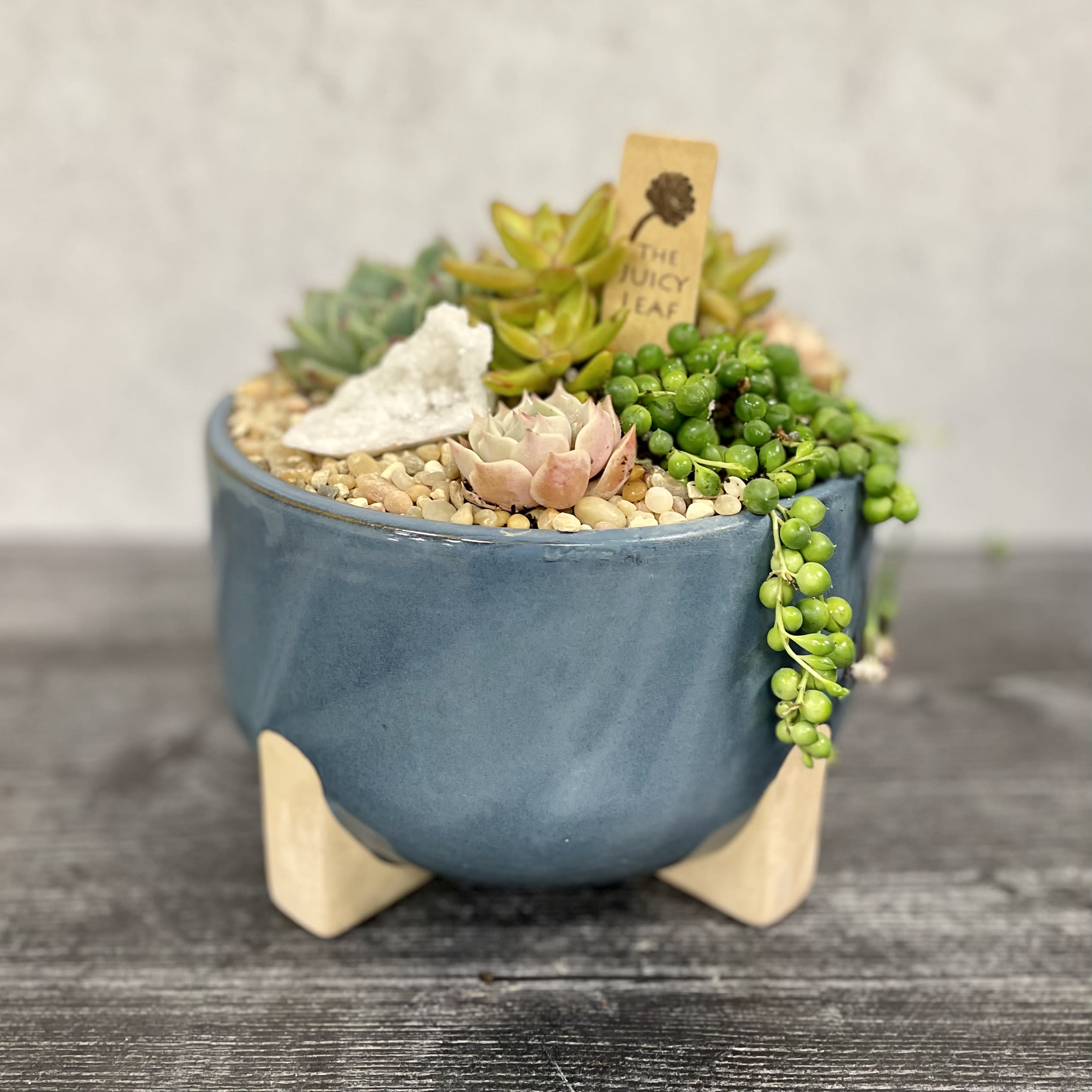 Ocean Love - A beautiful balanced succulent arrangement in a light blue pot.