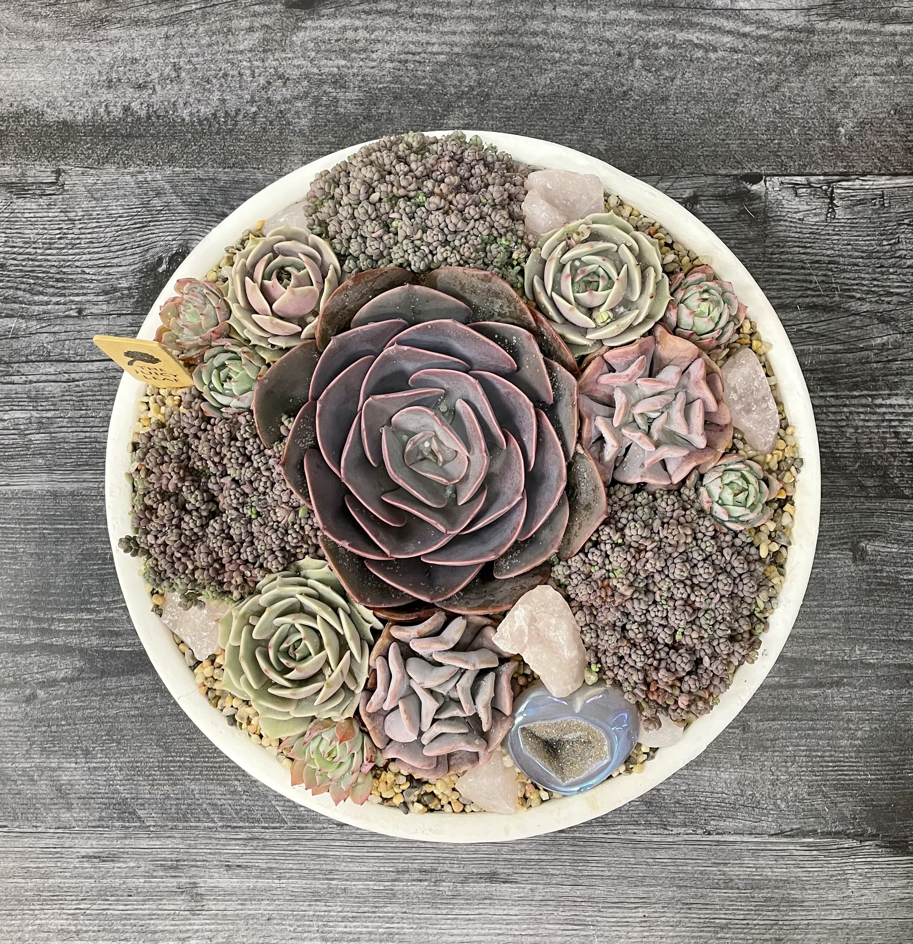 Valentine’s bowl - A beautiful array of succulents with rose Quartz and a heart in a white bowl.