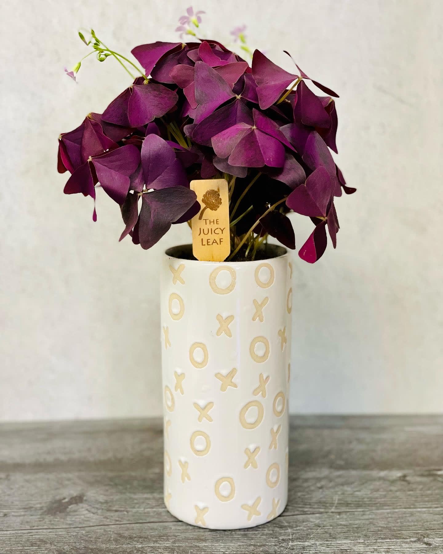 Valentine’s bouquet  - XO white planter with a tropical.
