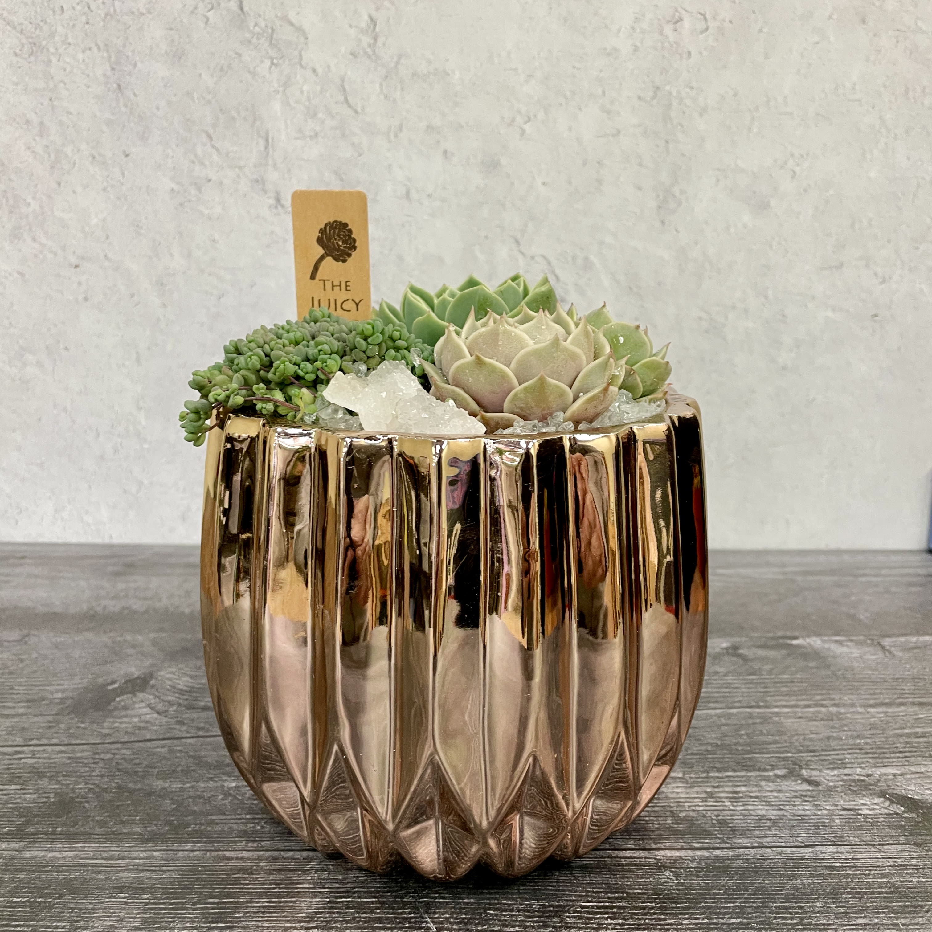 Rosé Garden - An elegant rosé vase with a set of green succulents. (Pot is 6&quot;x 6&quot;)