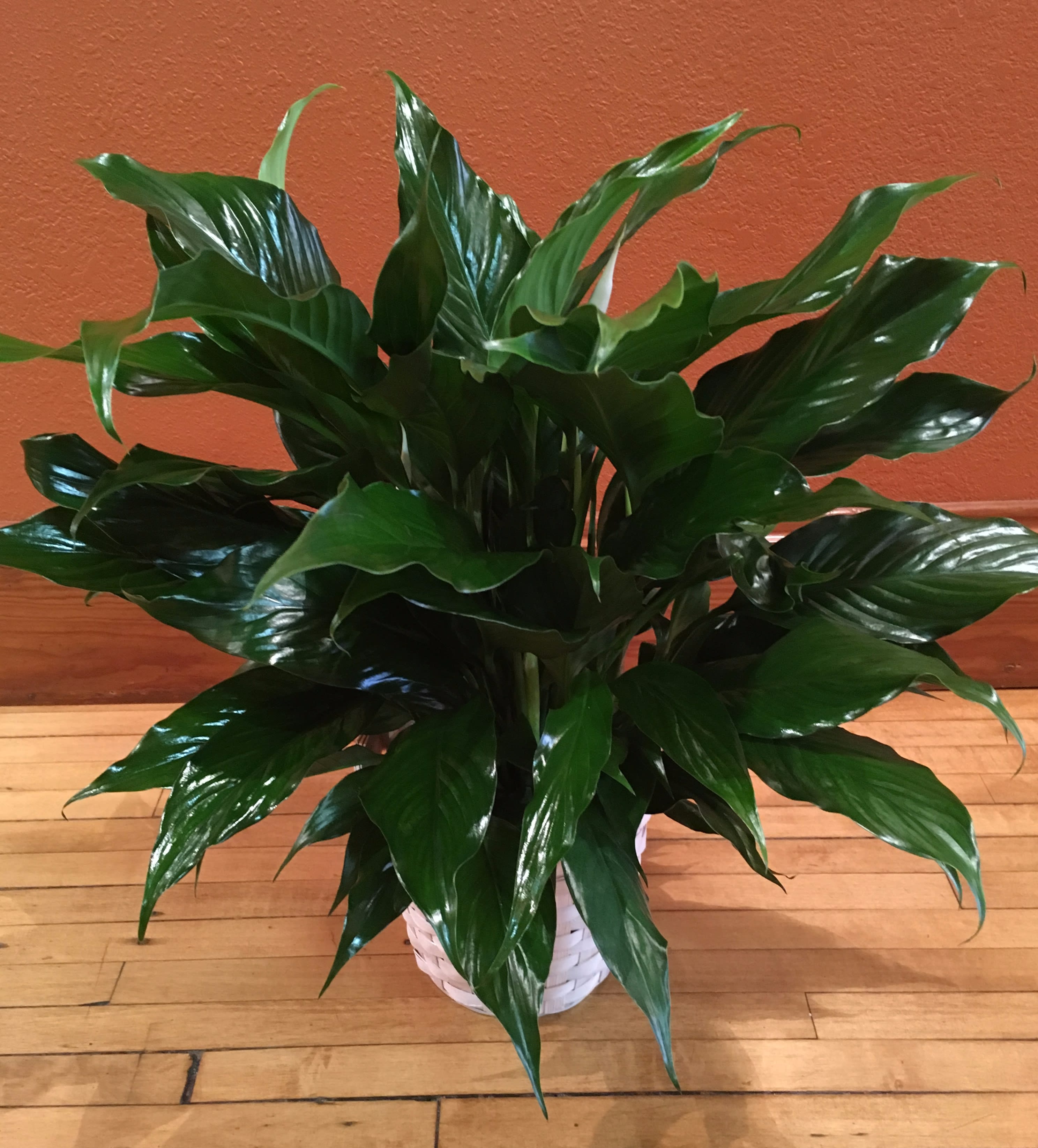 The Green Side 1 in Flandreau, SD Flandreau Flower Shoppe