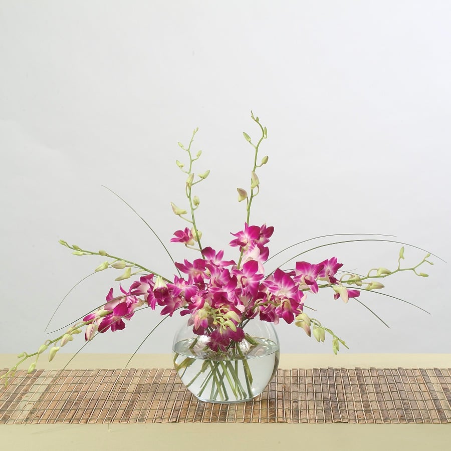 BEAUTIFUL DENDROBIUM ORCHIDS IN SIMPLY HAWAIIAN BEAUTIFUL DENDROBIUM ORCHIDS IN SIMPLY HAWAIIAN - Exotic Dendrobium Orchids beautifully arranged in the high style