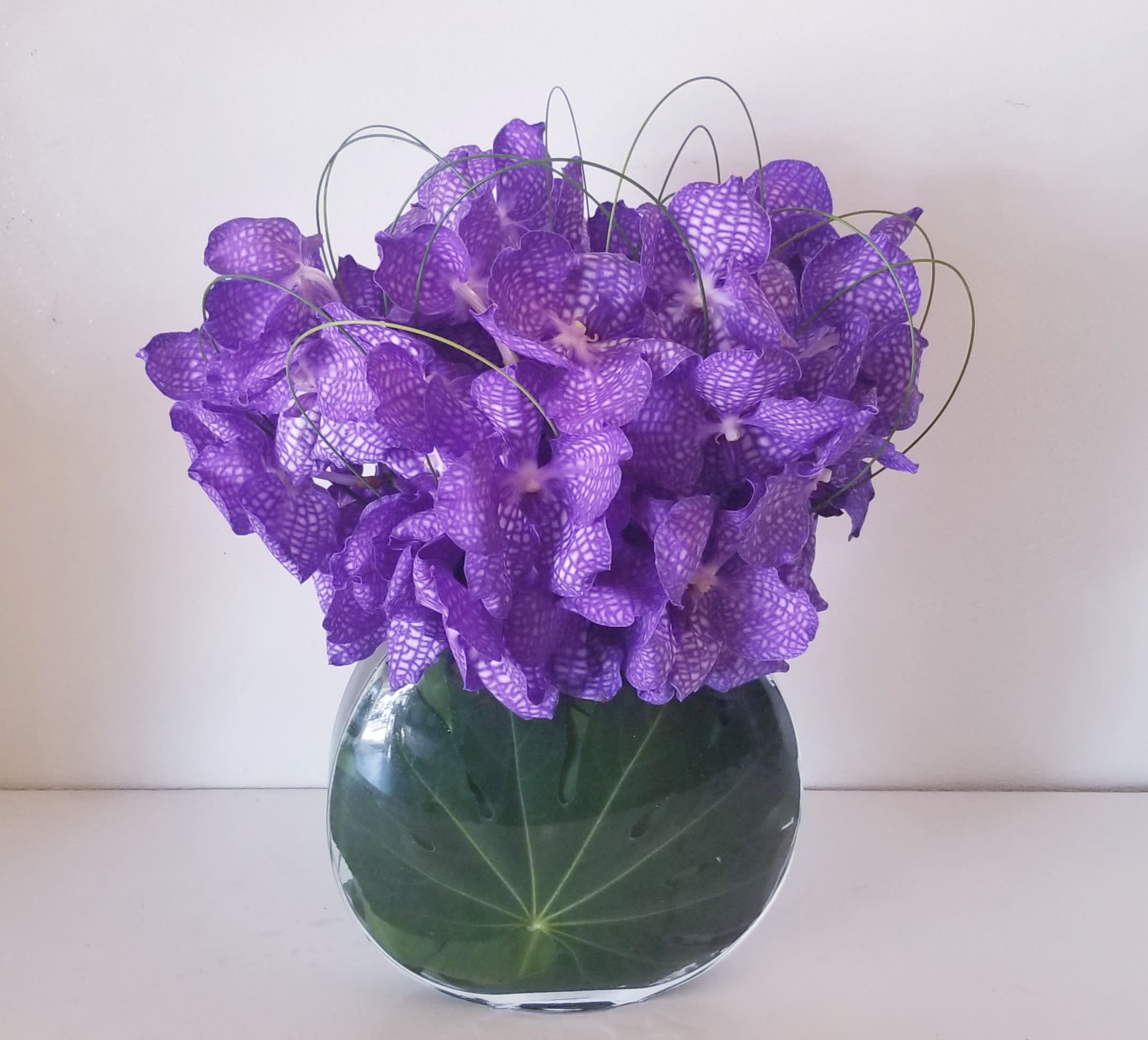 Purple Vandas - Modern flat bowl composed of beautiful vibrant purple Vanda orchids.