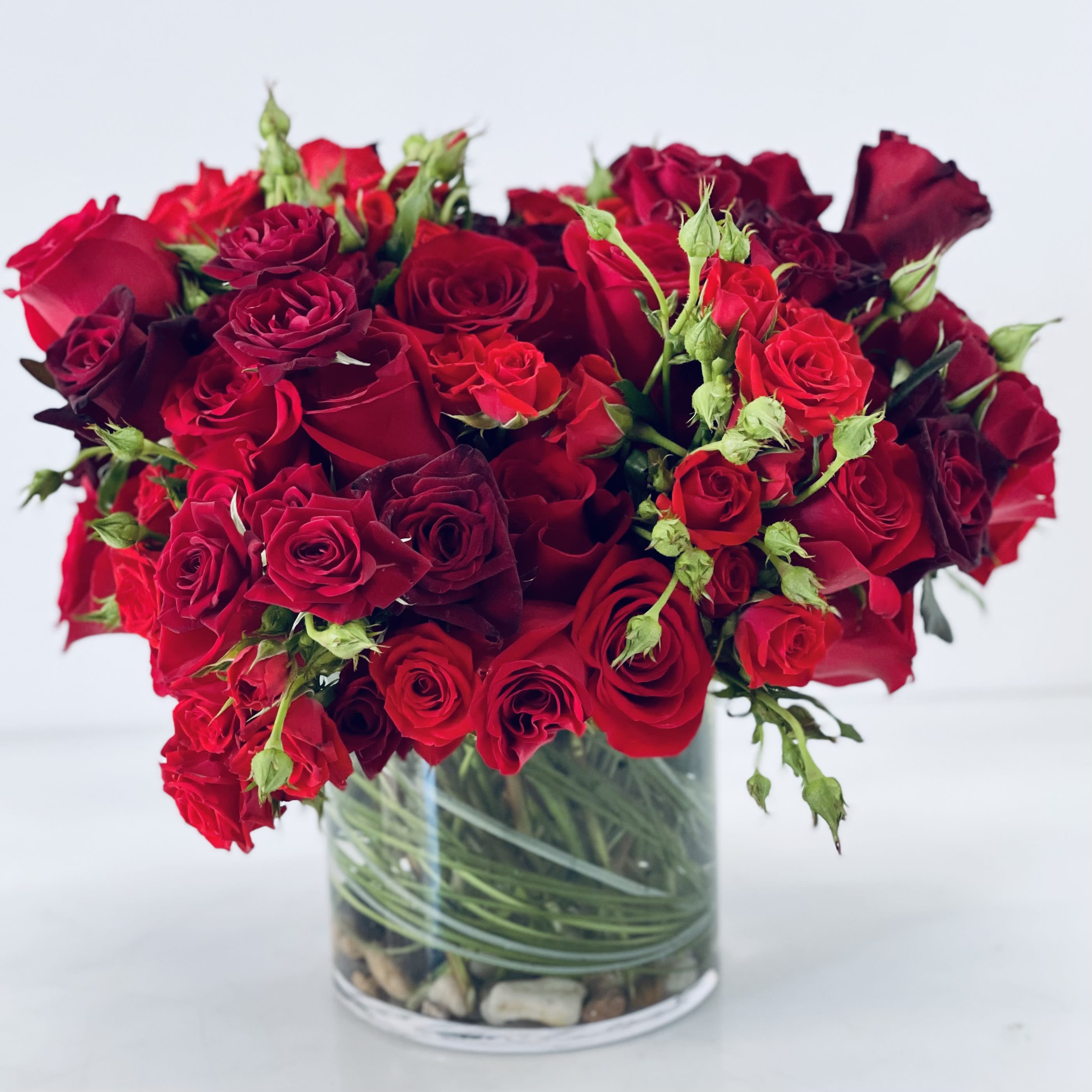 Rosalicious  - Reds and more reds over 50 blooms 