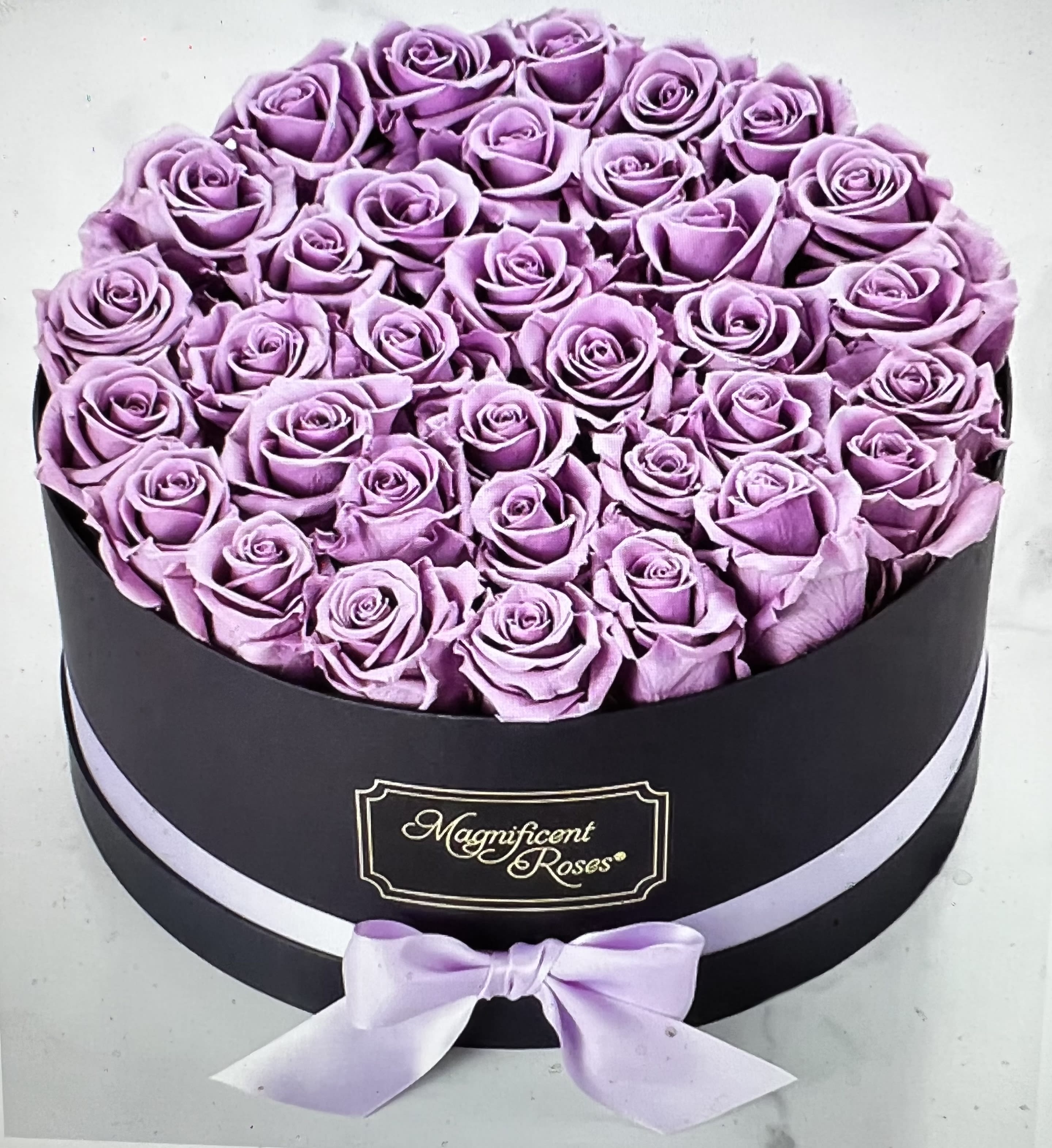 Magnificent Roses - Beautiful lavender fresh roses 3doz lavender rose Any other colors available by your preference 