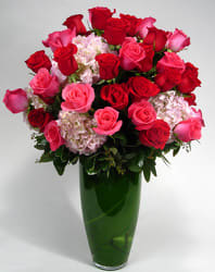 Classic Pink and Red Rose Mix with Hydrangeas - The freshest long stemmed Red and Pink roses accented with Hydrangea are sure to create that special impression. Designed in our signature tall vase with 12 beautiful Red Roses, and  12 Pink Roses 