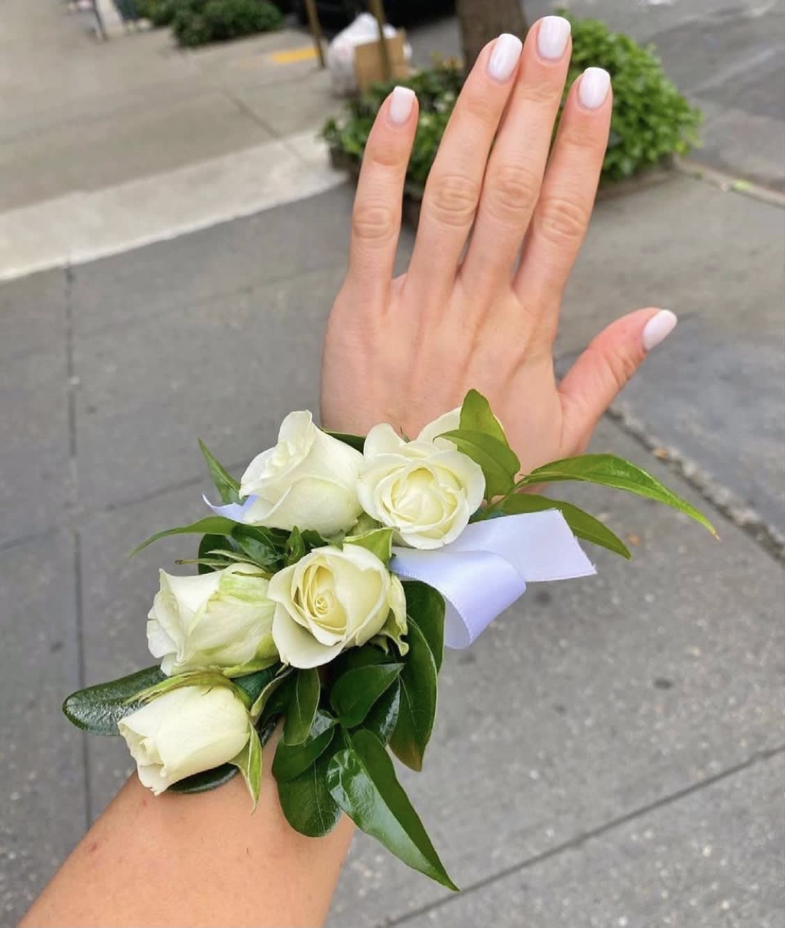 Adelaide Formal Corsages Crafers SA atelieryuwa.ciao.jp