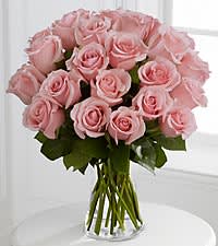 perfectly pink perfectly pink - one dozen pink roses standard size