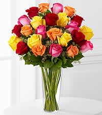rainbow of love - multi colored roses, select colors