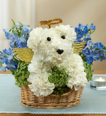 All Dogs go to Heaven - Product ID: 95212   EXCLUSIVE Send your deepest sympathies for the loss of a loved one or beloved pet with our truly original a-DOG-able arrangement. Hand-arranged in a charming dog bed basket in the shape of an angelic dog, complete with golden wings and halo, fresh carnations, delphinium and Queen Anne's lace offer a lasting memorial for friends and family who were dog lovers, or to honor the passing of a canine family member. a-DOG-able arrangement of the freshest white carnations, blue delphinium, Queen Anne's lace and variegated pittosporum Hand-crafted by our expert florists in the shape of an dog, complete with eyes and nose Accented with golden wings and an elegant halo Designed by our florists in a willow dog bed lined with sheet moss; measures 3.5&quot;H x 9.5&quot;W x 7&quot;D A beautiful tribute to dog lovers, or for someone who has recently lost a beloved pet Appropriate to send to the home of friends, family members or business associates Arrangement measures approximately 12&quot;H x 10&quot;L Our florists select the freshest flowers available so floral colors and varieties may vary
