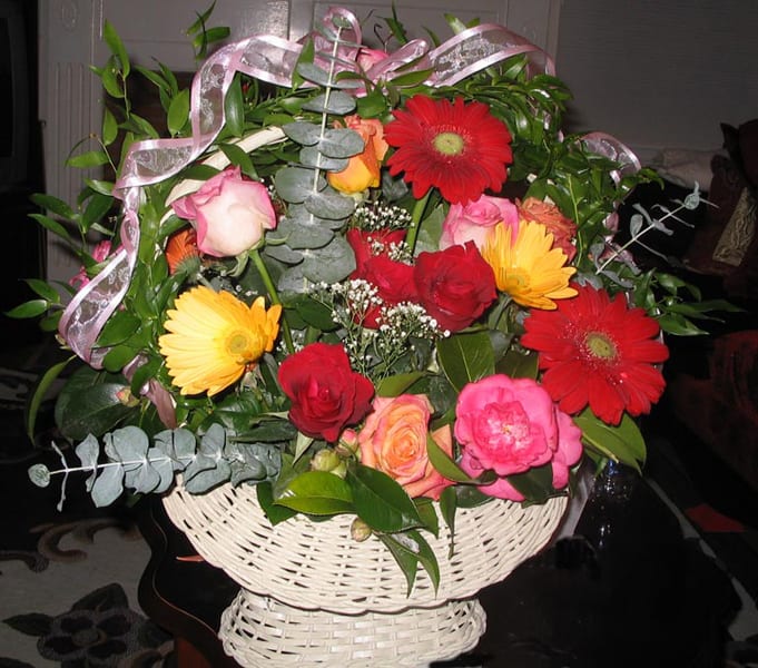 Flirt With Roses - FLIRT WITH ROSES
