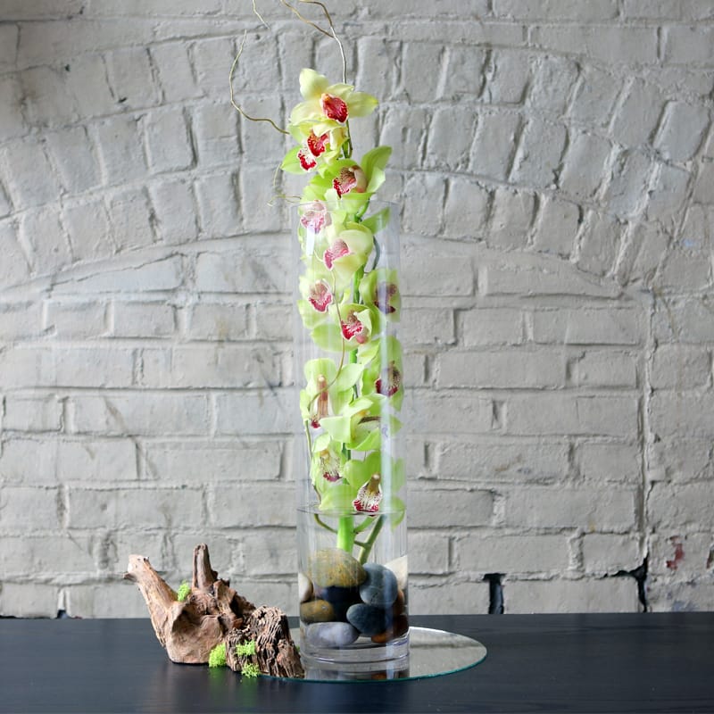 Cymbidium in Glass - Jumbo stalk of Cymbidum orchid arranged in a tall glass cylinder with river rocks and curly willow.