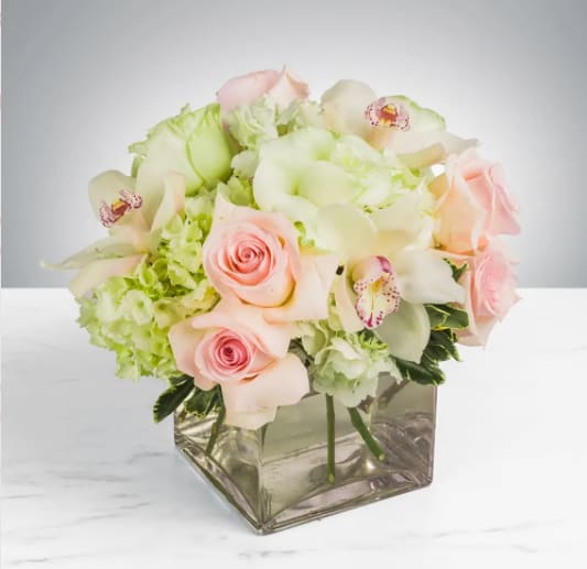 Elegant by BloomNation™ Elegant by BloomNation™ - This bouquet shows that there is beauty in simplicity. Elegant by BloomNation™ is the perfect gift for almost any occasion, especially for celebrations and showing gratitude. Arrangement Details: Includes white roses, blush pink roses, white cymbidium orchids, and white hydrangea. APPROXIMATE DIMENSIONS:10" H X 11" W X 11"L