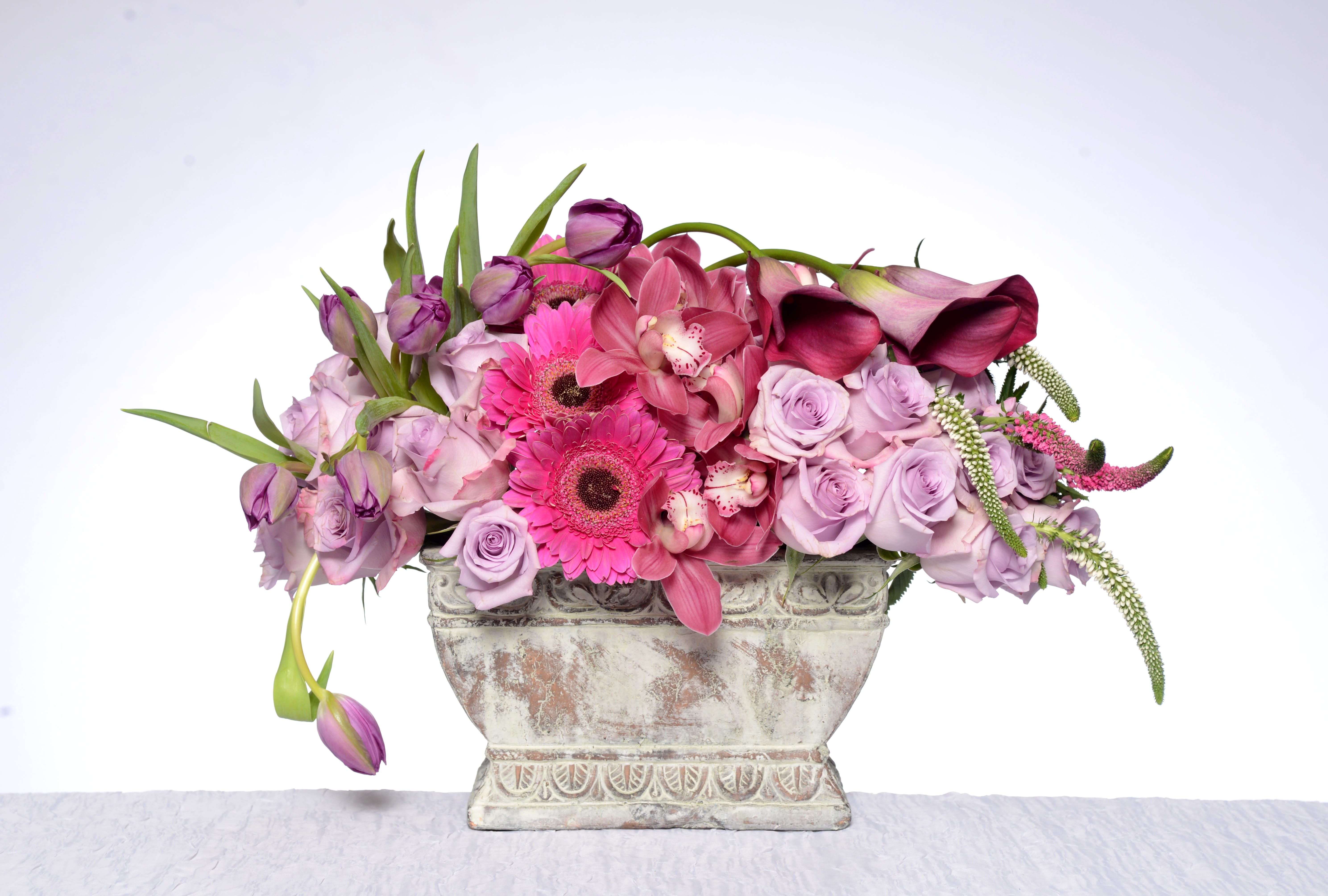 Out of the Lavender Out of the Lavender - roses, tulips, gerbera, calia lily