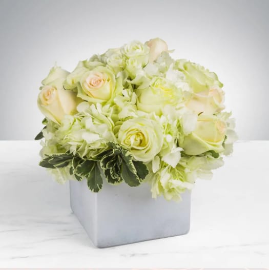 Simplicity by BloomNation™ Simplicity by BloomNation™ - Simplicity by BloomNation™ is the perfect gift to wish a happy birthday, show gratitude, or wish a speedy recovery. Arrangement Details: Includes blush pink roses, white roses, blush spray roses, white hydrangea. APPROXIMATE DIMENSIONS: 10" H X 11" W X 11"L