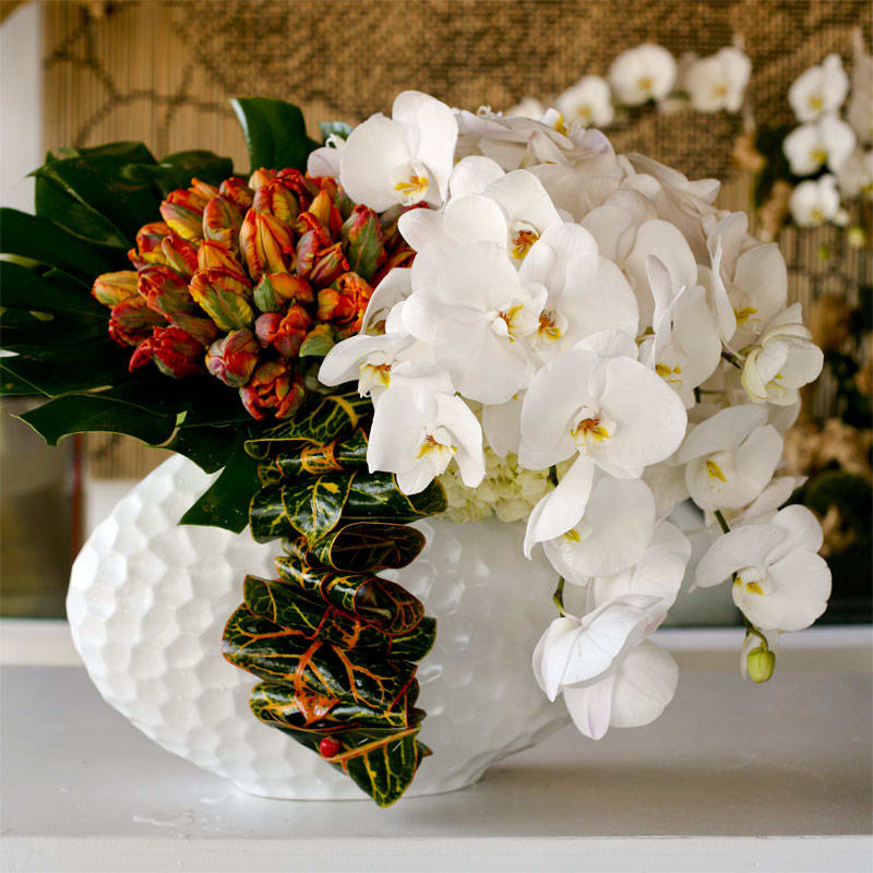 Los Cabos - Spilling orchids in a bed of tropical leaves accented by a bold rush of color makes a great gift for any flower connoisseur. Vase dependent upon availability.