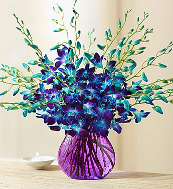 Exotic Breeze Orchids Exotic Breeze Orchids - 20 stems of purple Dendrobium orchids in purple vase.