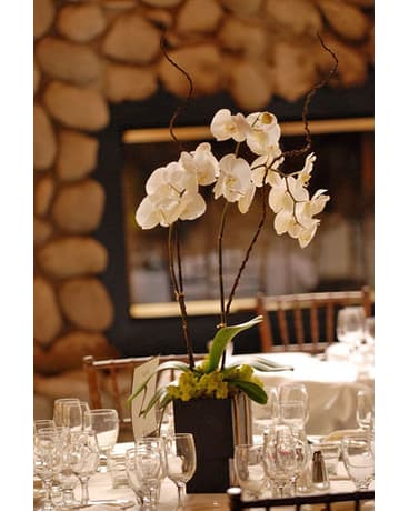  Ami - Stunningly sleek double white orchid in black wood container. A perfectly beautiful piece for any room. Also available in other colors and sizes, please call so we can custom create to fit your budget.  Product ID: DF-500