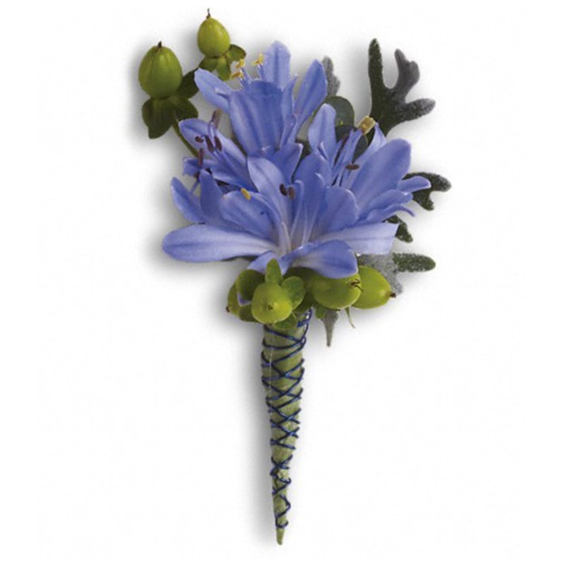  Bold and Blue Boutonniere - Beautiful blue agapanthus is a heavenly accessory.  Blue agapanthus, green hypericum and dusty miller. Approximately 2 1/2&quot; W x 4 1/4&quot; H  Product ID: T203-4A