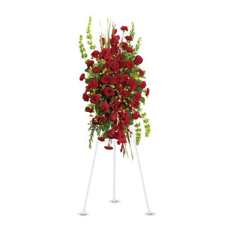  Care and Compassion Spray - Your care and compassion will be appreciated by all who lay eyes on this radiant standing spray. A variety of lovely vibrant red blossoms contrasted by vivid green of bells of Ireland will deliver your heartfelt condolences. Perfectly.  Dazzling flowers such as red roses, gladioli and carnations along with bells of Ireland and other simple greenery create a spray that is both memorable and magical.  Approximately 23&quot; W x 46&quot; H