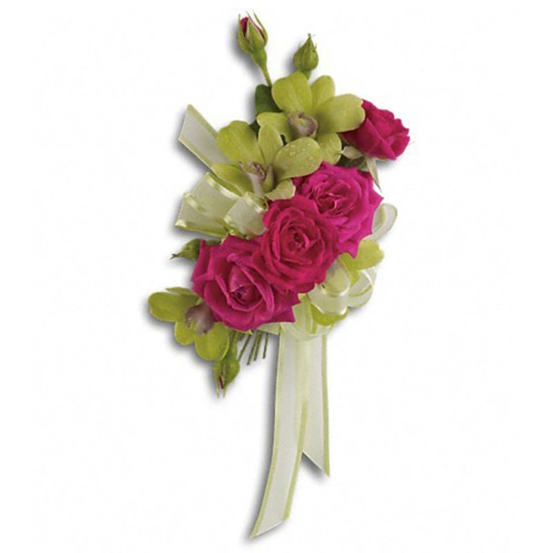  Chic and Stunning Corsage - A modern mix of green orchids and hot pink roses.  A corsage of gorgeous green dendrobium orchids and hot pink spray roses. Approximately 4 1/2&quot; W x 6 1/2&quot; H  Product ID: T201-1A