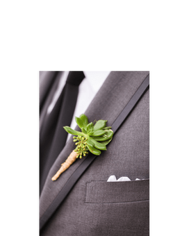 mini succulent - sleek and elengant