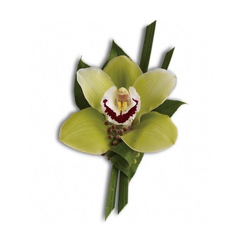  Green Orchid Boutonniere - A single cymbidium orchid makes a high-fashion statement.  A green cymbidium orchid with seeded eucalyptus, lily grass and salal. Approximately 3 3/4&quot; W x 6 3/4&quot; H  Product ID: T202-3A