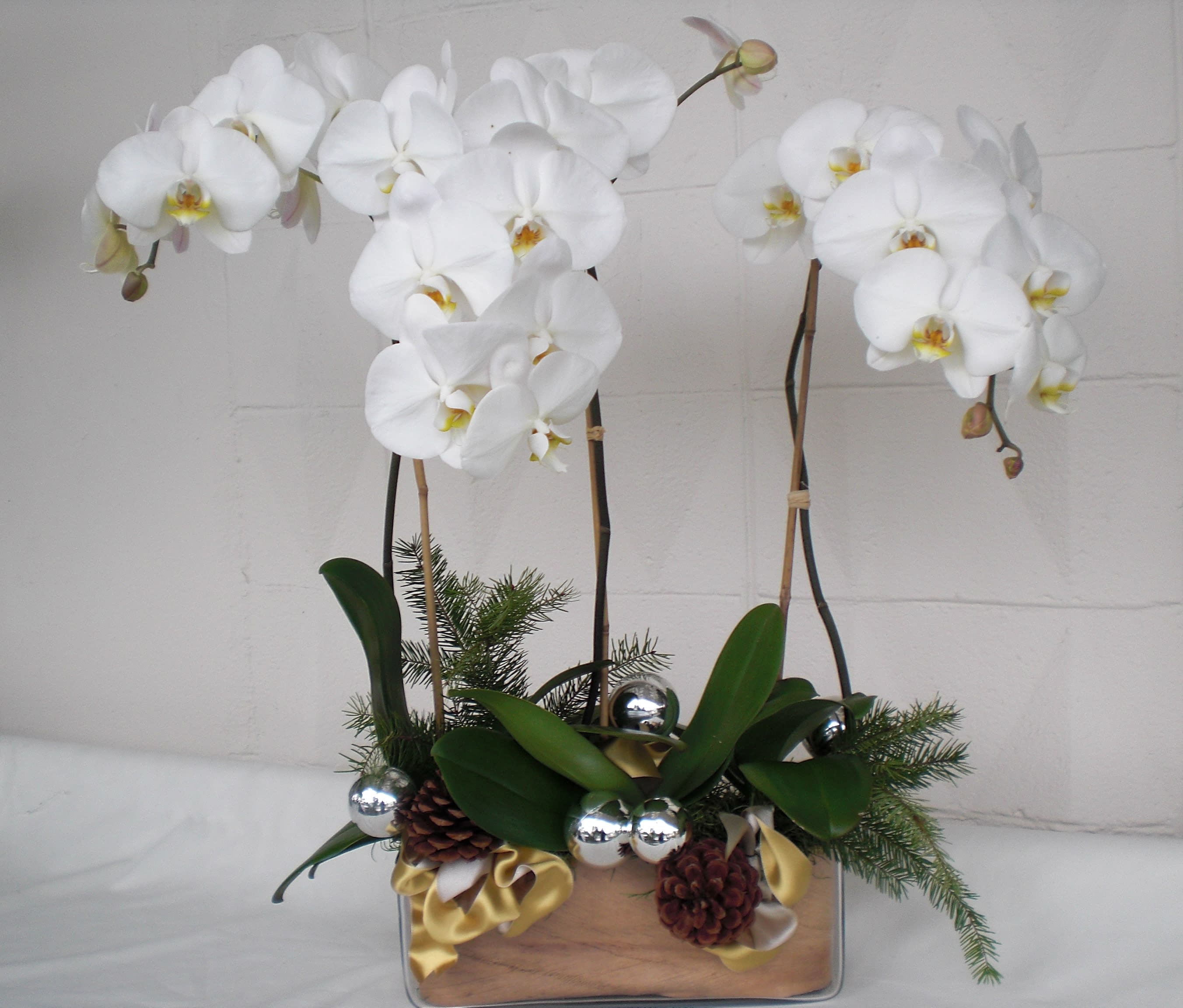 Holiday White Phalaenopsis Orchid - So simple, so elegant, the classic white phalaenopsis in a stylish contemporary glass container lined with palm leafs and adorned with holiday ornaments and winter greens  
