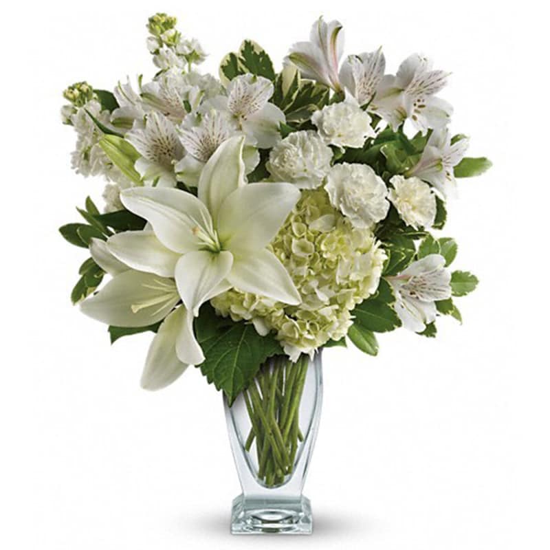 Purest Love Bouquet Purest Love Bouquet - Who's the fairest of them all? This snow-white bouquet. A stunning statement of your purest love, this mix of hydrangea and lilies in a Couture vase will take their heart away. This snow-white bouquet includes hydrangea, asiatic lilies, alstroemeria, miniature carnations, stock and fresh green pittosporum. Delivered in a Couture vase.