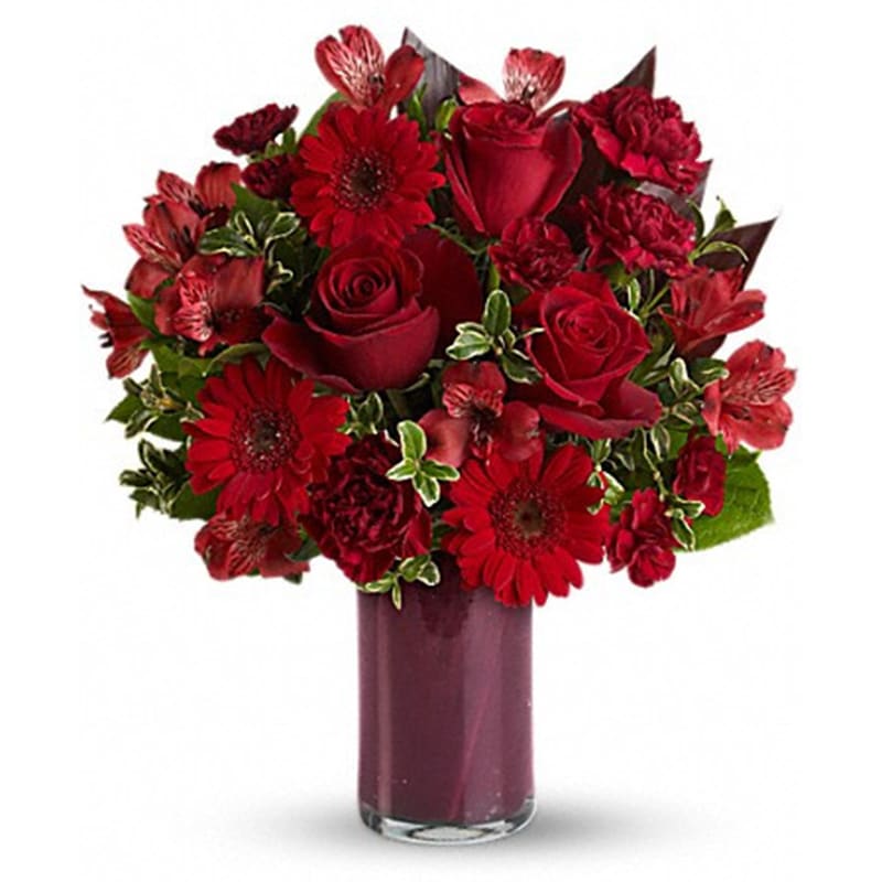 Red Rapture Red Rapture - Plunge into the depths of the most ravishingly red bouquet ever - artistically arranged in a chic cylinder vase. Red roses, gerberas, alstroemeria and carnations - get them while they're hot! The all-red bouquet includes red roses, red gerberas, red alstroemeria, red carnations and red miniature carnations accented with fresh greenery. Delivered in a clear cylinder vase lined with ti leaves. Product ID: T541-1A