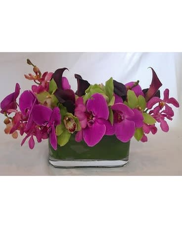 Romania - Phalaenopsis, Dandrobian &amp; Cymbidium orchids.  Product ID: DF-1025