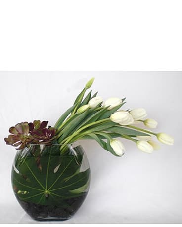  Soft Touch - Beautiful modern arrangement of tulips placed in a unique glass container lined with greenery and rocks. Available in other colors and sizes.  Product ID: DF-1316