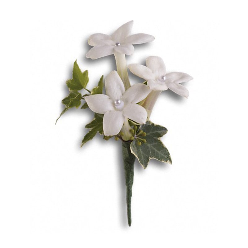  White Gloves Boutonniere - Classic white stephanotis are equally elegant and fragrant.  Classic white stephanotis with variegated ivy and seeded eucalyptus. Approximately 3&quot; W x 4 1/2&quot; H  Product ID: T203-3A