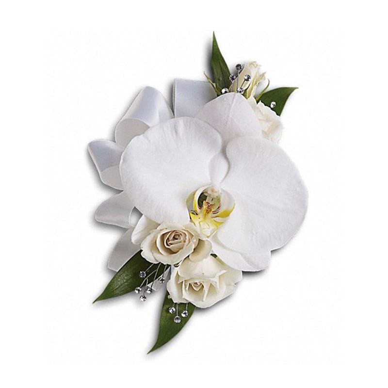  White Orchid and Rose Corsage - Stunning, snow-white blooms are both elegant and versatile.  A lovely white phalaenopsis orchid with white spray roses and Italian ruscus.. Approximately 5 1/2&quot; W x 8&quot; H  Product ID: T196-5A